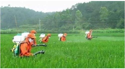 農(nóng)藥行業(yè)仍然具有較大的發(fā)展空間，高效、低毒、低殘留將是其發(fā)展方向