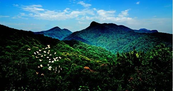 花都區(qū)出臺“白金十條”促進旅游產(chǎn)業(yè)發(fā)展，最大一項政策獎勵達2000萬元???