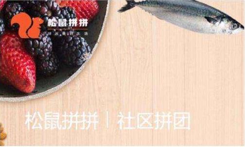社區(qū)團購平臺“松鼠拼拼”完成3100萬美元B1輪融資，融資將用于供應鏈完善等?