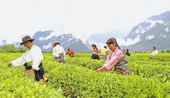 截至2018年底，西藏貧困人口已降至15萬人，貧困發(fā)生率下降到6%以下