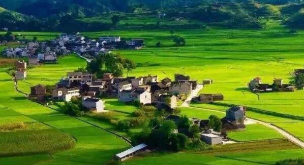 去年全國鄉(xiāng)村旅游總?cè)舜螢?0.9億人次，同比增加9.7%