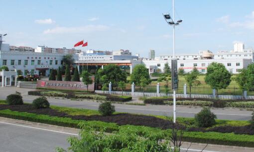 仁和藥業(yè)投資江西藥都樟樹制藥中藥經(jīng)典名方產(chǎn)業(yè)升級技改項(xiàng)目報告