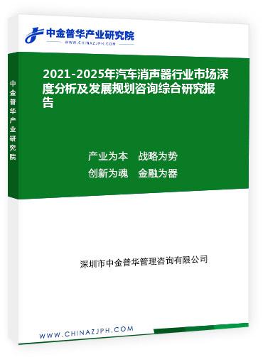 2021-2025年汽車消聲器行業(yè)市場(chǎng)深度分析及發(fā)展規(guī)劃咨詢綜合研究報(bào)告