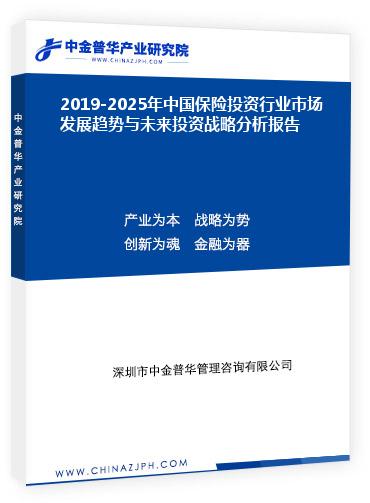 2019-2025年中國保險(xiǎn)投資行業(yè)市場(chǎng)發(fā)展趨勢(shì)與未來投資戰(zhàn)略分析報(bào)告