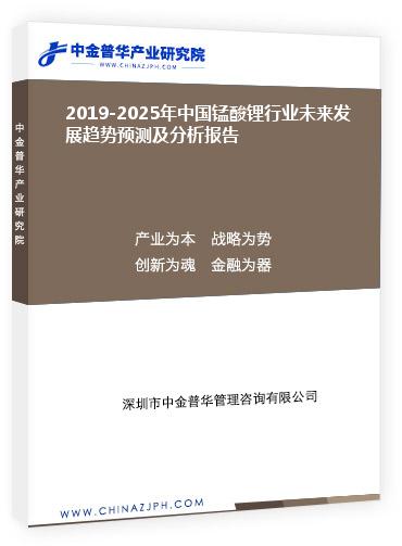 2019-2025年中國錳酸鋰行業(yè)未來發(fā)展趨勢預(yù)測及分析報告