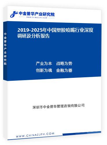 2019-2025年中國塑膠噴嘴行業(yè)深度調(diào)研及分析報告