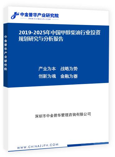 2019-2025年中國甲醇柴油行業(yè)投資規(guī)劃研究與分析報告